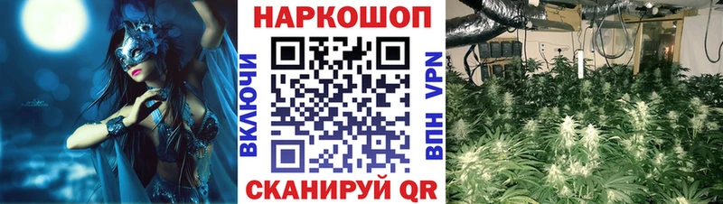Наркошоп купить МЕТАДОН  Alpha PVP  Псилоцибиновые грибы  Cocaine  Меф  Марихуана  Волхов
