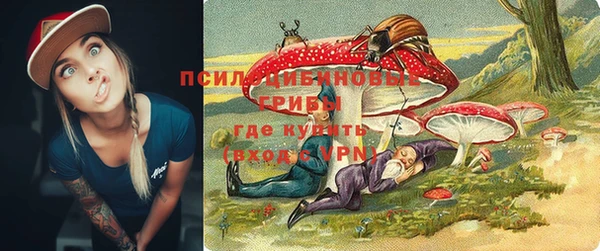 прущий лед Ладушкин