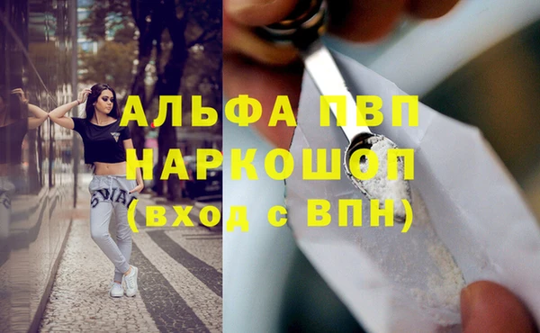 прущий лед Ладушкин