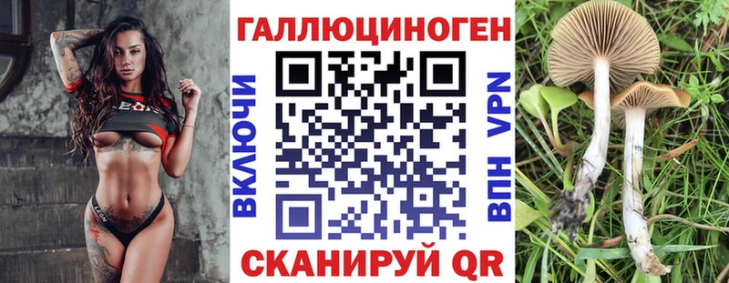 Купить закладки Волхов Галлюциногенные грибы ЛСД