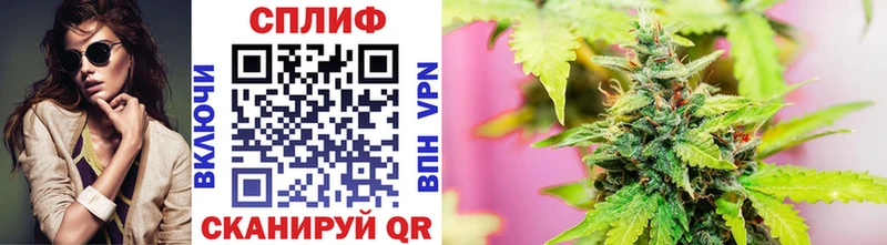 Купить где  Волхов  Бошки Шишки MAZAR 